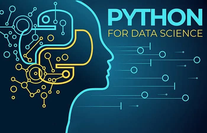 A Complete Roadmap to Become a Data Scientist